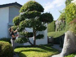 Taille-haie Sur Perche Télescopique à Batterie IKRA IATHS 40/43 - Lameir De 48 Cm SANS BATTERIE NI CHARGEUR -Entretien Du Jardin taille haie sur perche tlescopique batterie ikra iaths 40 43 lameir de 48 cm sans batterie ni chargeur perche lagueuse batterie ikra iaths 40 43 37170 15 1663751538 IMG 632ad5721c2b6