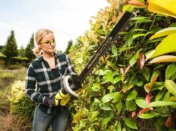 Taille-haies à Batterie RYOBI RHT36B61R - 36V - 2Ah - Lame De 60cm