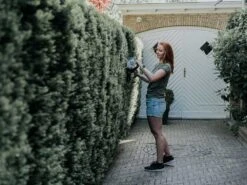 Taille-haies électrique à Batterie Batavia - Lame De 51 Cm En Acier - SANS BATTERIE NI CHARGEUR -Entretien Du Jardin taille haies lectrique batterie batavia lame de 51 cm en acier sans batterie ni chargeur taille haies lectrique batterie batavia 32934 5 1644399273 IMG 62038aa9247d3