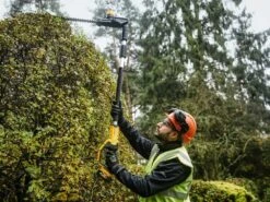 Taille-haies électrique Télescopîque Orientable DEWALT DCMPH566P1-QW - Batteria 18V 5Ah -Entretien Du Jardin taille haies lectrique tlescopque orientable dewalt dcmph566p1 qw batteria 18v 5ah le taille haies batterie dewalt dcmph566p1 qw 28950 6 1620657380 IMG 609944e420df0