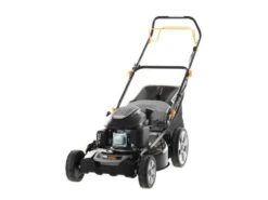 Tondeuse Autotractée Alpina AL5 51 SAQ Avec Moteur Thermique ST 170 - Coupe 51 Cm -Entretien Du Jardin tondeuse autotracte alpina al5 51 saq avec moteur thermique st 170 coupe 51 cm tondeuse gazon alpina al5 51 saq 26368 1 1607943438 IMG 5fd7450e0c0b0