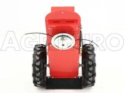 Tondeuse Débroussailleuse Domino Moteur Briggs&Stratton 850 Tondeuse Broyeuse -Entretien Du Jardin tondeuse dbroussailleuse domino moteur briggs stratton 850 tondeuse broyeuse systme de coupe avec tte fil 5326 2 1393338376 IMG 0292