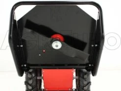 Tondeuse Débroussailleuse Domino Moteur Briggs&Stratton 850 Tondeuse Broyeuse -Entretien Du Jardin tondeuse dbroussailleuse domino moteur briggs stratton 850 tondeuse broyeuse systme de coupe et lame pivotante 5326 6 1393401733 IMG 9987