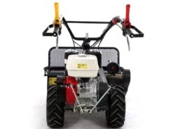 Tondeuse Débroussailleuse à Fléaux Autotractée Benassi T750P - Avec Moteur HONDA GX390 -Entretien Du Jardin tondeuse dbroussailleuse flaux autotracte benassi t750p avec moteur honda gx390 bote de vitesse et transmission 33495 2 1647349530 IMG 62308f1a43c72