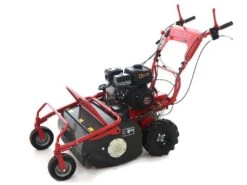 Tondeuse Débroussailleuse à Fléaux Autotractée Blue Bird SG0812A - Moteur Loncin LC175F-2 -Entretien Du Jardin tondeuse dbroussailleuse flaux autotracte blue bird sg0812a moteur loncin lc175f 2 dbroussailleuse blue bird sg0812a 16650 1 1557993406 IMG 3500