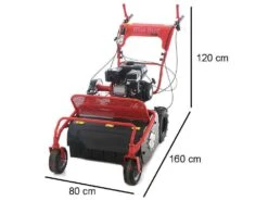 Tondeuse Débroussailleuse à Fléaux Autotractée Blue Bird SG0812A - Moteur Loncin LC175F-2 -Entretien Du Jardin tondeuse dbroussailleuse flaux autotracte blue bird sg0812a moteur loncin lc175f 2 dbroussailleuse blue bird sg0812a 16650 1 1557993406 IMG 3540