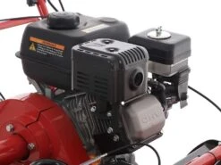 Tondeuse Débroussailleuse à Fléaux Autotractée Blue Bird SG0812A - Moteur Loncin LC175F-2 -Entretien Du Jardin tondeuse dbroussailleuse flaux autotracte blue bird sg0812a moteur loncin lc175f 2 moteur loncin lc175f 2 16650 8 1557993622 IMG 3512