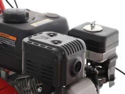 Tondeuse Débroussailleuse à Fléaux Autotractée Blue Bird SG0812A - Moteur Loncin LC175F-2 -Entretien Du Jardin tondeuse dbroussailleuse flaux autotracte blue bird sg0812a moteur loncin lc175f 2 moteur loncin lc175f 2 16650 8 1557993622 IMG 3514