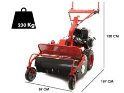 Tondeuse Débroussailleuse à Fléaux Autotractée Blue Bird SG0813