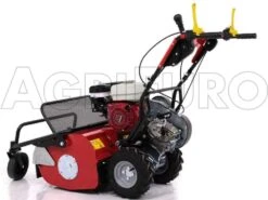 Tondeuse Débroussailleuse à Fléaux Autotractée GINKO-MGM TT 680 Avec Moteur Honda GX200 -Entretien Du Jardin tondeuse dbroussailleuse flaux autotracte ginko mgm tt 680 avec moteur honda gx200 dbroussailleuse ginko mgm mod tt 680 10099 1 1487579988 IMG 5885