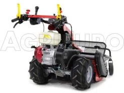 Tondeuse Débroussailleuse à Fléaux Autotractée GINKO-MGM TT 886, GX390 - HAUT DE GAMME 23 Tondeuse Débroussailleuse à Fléaux Autotractée GINKO-MGM TT 886, GX390 - HAUT DE GAMME -Entretien Du Jardin tondeuse dbroussailleuse flaux autotracte ginko mgm tt 886 gx390 haut de gamme dbroussailleuse ginko mgm mod tt 886 10115 1 1487677991 IMG 6331