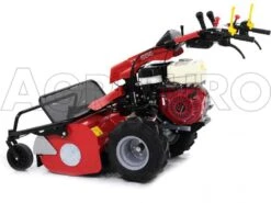 Tondeuse Débroussailleuse à Fléaux Autotractée GINKO-MGM TT 886, GX390 - HAUT DE GAMME 28 Tondeuse Débroussailleuse à Fléaux Autotractée GINKO-MGM TT 886, GX390 - HAUT DE GAMME -Entretien Du Jardin tondeuse dbroussailleuse flaux autotracte ginko mgm tt 886 gx390 haut de gamme dbroussailleuse ginko mgm mod tt 886 10115 1 1487677997 IMG 6341