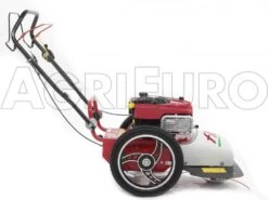 Tondeuse Débroussailleuse Thermique FLO Pro Speed 6BS B&S 850E Tondeuse Broyeuse à Roues -Entretien Du Jardin tondeuse dbroussailleuse thermique flo pro speed 6bs b s 850e tondeuse broyeuse roues tondeuse dbroussailleuse flo pro speed 6bs b s 850e 10808 0 1498742260 IMG 9754