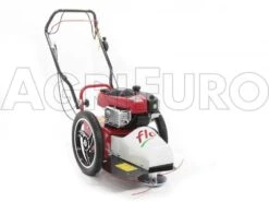Tondeuse Débroussailleuse Thermique FLO Pro Speed 6BS B&S 850E Tondeuse Broyeuse à Roues -Entretien Du Jardin tondeuse dbroussailleuse thermique flo pro speed 6bs b s 850e tondeuse broyeuse roues tondeuse dbroussailleuse flo pro speed 6bs b s 850e 10808 0 1498742261 IMG 9752