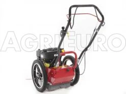 Tondeuse Débroussailleuse Thermique FLO Pro Speed 6BS B&S 850E Tondeuse Broyeuse à Roues -Entretien Du Jardin tondeuse dbroussailleuse thermique flo pro speed 6bs b s 850e tondeuse broyeuse roues tondeuse dbroussailleuse flo pro speed 6bs b s 850e 10808 0 1498742264 IMG 9759