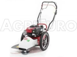 Tondeuse Débroussailleuse Thermique FLO Pro Speed 6BS B&S 850E Tondeuse Broyeuse à Roues -Entretien Du Jardin tondeuse dbroussailleuse thermique flo pro speed 6bs b s 850e tondeuse broyeuse roues tondeuse dbroussailleuse flo pro speed 6bs b s 850e 10808 0 1498742269 IMG 9751