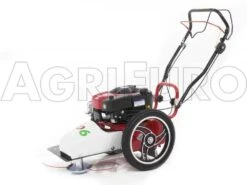 Tondeuse Débroussailleuse Thermique FLO Pro Speed 6BS B&S 850E Tondeuse Broyeuse à Roues -Entretien Du Jardin tondeuse dbroussailleuse thermique flo pro speed 6bs b s 850e tondeuse broyeuse roues tondeuse dbroussailleuse flo pro speed 6bs b s 850e 10808 0 1498742271 IMG 9758