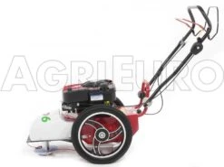 Tondeuse Débroussailleuse Thermique FLO Pro Speed 6BS B&S 850E Tondeuse Broyeuse à Roues -Entretien Du Jardin tondeuse dbroussailleuse thermique flo pro speed 6bs b s 850e tondeuse broyeuse roues tondeuse dbroussailleuse flo pro speed 6bs b s 850e 10808 0 1498742273 IMG 9757