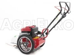 Tondeuse Débroussailleuse Thermique FLO Speed 6BS B&S 675EX Débroussailleuse à Roues -Entretien Du Jardin tondeuse dbroussailleuse thermique flo speed 6bs b s 675ex dbroussailleuse roues tondeuse dbroussailleuse flo speed 6bs b s 675ex 10804 0 1498641589 IMG 9638