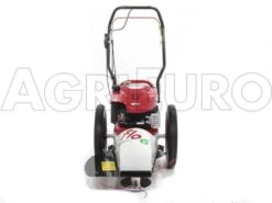 Tondeuse Débroussailleuse Thermique FLO Speed 6BS B&S 675EX Débroussailleuse à Roues -Entretien Du Jardin tondeuse dbroussailleuse thermique flo speed 6bs b s 675ex dbroussailleuse roues tondeuse dbroussailleuse flo speed 6bs b s 675ex 10804 0 1498641594 IMG 9632