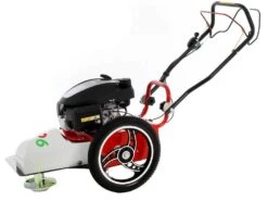 Tondeuse Débroussailleuse FLO Pro Speed 6HO GCV 200 Tondeuse Broyeuse à Roues - Nouveau Modèle -Entretien Du Jardin tondeuse debroussailleuse flo pro speed 6ho gcv 200 tondeuse broyeuse a roues nouveau modele tondeuse debroussailleuse flo pro speed 6ho honda gcv 200 22785 0 1585755507 IMG 5e84b5739eaaa