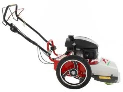 Tondeuse Débroussailleuse FLO Pro Speed 6HO GCV 200 Tondeuse Broyeuse à Roues - Nouveau Modèle -Entretien Du Jardin tondeuse debroussailleuse flo pro speed 6ho gcv 200 tondeuse broyeuse a roues nouveau modele tondeuse debroussailleuse flo pro speed 6ho honda gcv 200 22785 0 1585755507 IMG 5e84b573b2674