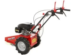 Tondeuse Débroussailleuse Thermique Domino Moteur Honda GCV 200, Tondeuse Broyeuse -Entretien Du Jardin tondeuse debroussailleuse thermique domino moteur honda gcv 200 tondeuse broyeuse presentation domino blue bird honda gcv 200 22803 0 1585930718 IMG 5e8761dee9172