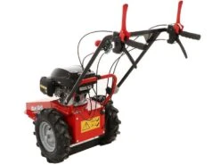 Tondeuse Débroussailleuse Thermique Domino Moteur Honda GCV 200, Tondeuse Broyeuse -Entretien Du Jardin tondeuse debroussailleuse thermique domino moteur honda gcv 200 tondeuse broyeuse presentation domino blue bird honda gcv 200 22803 0 1585930719 IMG 5e8761df56813