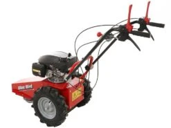 Tondeuse Débroussailleuse Thermique Domino Moteur Honda GCV 200, Tondeuse Broyeuse -Entretien Du Jardin tondeuse debroussailleuse thermique domino moteur honda gcv 200 tondeuse broyeuse presentation domino blue bird honda gcv 200 22803 0 1585930719 IMG 5e8761df5922f