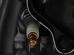 Tondeuse à Gazon Autotractée Thermique BullMach ECTOR 46 BS - Moteur B&S 500E 38 Tondeuse à Gazon Autotractée Thermique BullMach ECTOR 46 BS - Moteur B&S 500E -Entretien Du Jardin tondeuse gazon autotracte thermique bullmach ector 46 bs moteur b s 500e moteur briggs stratton 500e 27828 1 1617004003 IMG 606185e39e026