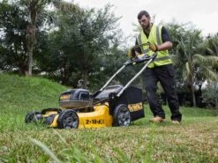 Tondeuse à Gazon Sur Batterie DeWalt DCMW564P2-QW -2 Batteries 18V/5Ah - Largeur De Coupe 48 Cm -Entretien Du Jardin tondeuse gazon sur batterie dewalt dcmw564p2 qw 2 batteries 18v 5ah largeur de coupe 48 cm tondeuse lectrique dewalt dcmw564p2 qw 29018 14 1620816946 IMG 609bb4329b434