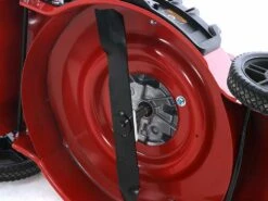 Tondeuse Mulching Thermique GeoTech M50-160 MSW - Tondeuse à Gazon Manuelle 33 Tondeuse Mulching Thermique GeoTech M50-160 MSW - Tondeuse à Gazon Manuelle -Entretien Du Jardin tondeuse mulching thermique geotech m50 160 msw tondeuse gazon manuelle chssis en acier et lame mulching 16639 3 1557918468 IMG 3288