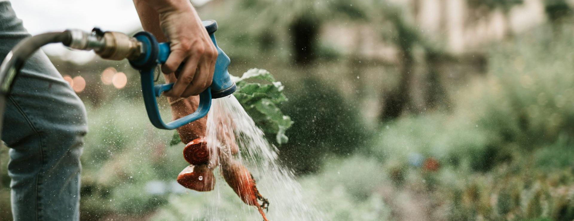 Entretien Du Jardin -Entretien Du Jardin pexels taryn elliott 3889959